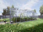 Šiltnamis KLASIKA Standart, 15 m2, su pamatu ir 4 mm polikarbonatinė danga, 2,5 x 6 m, lašo formos