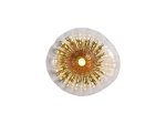 Pakabinamas šviestuvas SEARCHLIGHT Sunbeam, G9, 1 x 7W, 230V, skaidrus ir gintarinis raukšlėtas stiklas, 135 x 135 x 127 mm, 24122-1BK