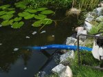 Plokščia žarna BRADAS Aqua-Flat PE/EVA, vandens pumpavimui, 1 1/4"- 30m, mėlyna spalva