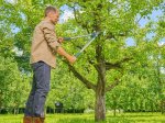 Genėjimo žirklės GARDENA Easy Cut L, 45 mm, prasilenkiančiais ašmenimis, aliuminės 680 mm rankenos