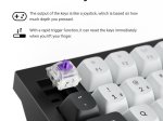 Belaidė žaidimų klaviatūra KEYCHRON Q6 HE, 100% mechaninė, juodos sp., Q6H-M1