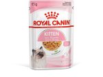 Konservuotas kačių ėdalas ROYAL CANIN, kačiukams (4-12 mėnesių amžiaus), ploni griežinėliai drebučiuose, 12 vnt. x 85 g