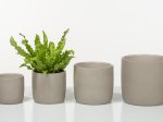 Kambarinis keraminis vazonas SCHEURICH Taupe Stone (900/15), smėlio sp., vazono skersmuo 15 cm.
