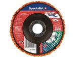Nailoninis valymo diskas su keramika SPECIALIST+ Premium, 125 mm