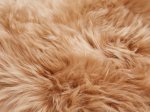 Avies kailis, 60 x 85 cm, 100% vilna, rusvos spl., 293507