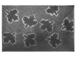 Kilimėlis RICCO Mix-Mat, 40 x 60 cm, 100% guma, pėdutės, 846-000