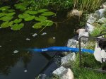 Plokščia žarna BRADAS Aqua-Flat PE/EVA, vandens pumpavimui, 1 1/4"- 10m, mėlyna spalva, komplekte žarnos užspaud.