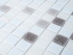 Stiklo mozaika MONA MOSAICS Ha204, 327 x 327 x 4 mm, spl. balta/pilka