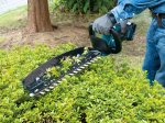 Akumuliatorinės gyvatvorių žirklės MAKITA DUH506Z, 18 V, darbinis plotis 50 cm, bešepetėlinis variklis, svoris 2,8 kg. Be akumuliatorių ir pakrovėjo.