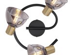 Kryptinis šviestuvas GLOBO Jay, E14, 3 x 25W, 230V, matinio žalvario / juodo metalo spalvos, dūmų spalvos stiklas, 250 x 175 mm, 54305-3