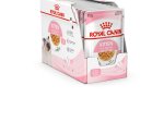 Konservuotas kačių ėdalas ROYAL CANIN, kačiukams (4-12 mėnesių amžiaus), ploni griežinėliai drebučiuose, 12 vnt. x 85 g