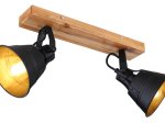 Kryptinis šviestuvas GLOBO Gunther, E27, 2 x 60W, 230V, juodos, aukso sp., 380x240 mm