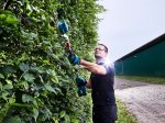 Akumuliatorinės gyvatvorių žirklės MAKITA DUN500WZ, 18 V, darbinis plotis 50 cm, bešepetėlinis variklis, svoris 4,5 kg. Be akumuliatorių ir pakrovėjo.