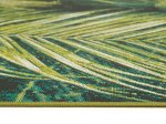 Kilimas ANDIAMO Portland, 80 x 150 cm, žalios spl., 75% polipropilenas, 25% poliesteris, tinkamas viduje ir lauke, Egiptas, 704194