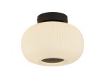 Pakabinamas šviestuvas SEARCHLIGHT Lumina, E27, 1 x 60W, 230V, 240 x 240 x 180 mm, 10271-1BK