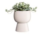 Kambarinis keraminis vazonas 4Living Casa, smėlio sp., 15,5 x 15,5 x 18 cm.