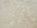 Avies kailis, 75 cm, 100% vilna, baltos spl., 705873