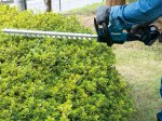 Akumuliatorinės gyvatvorių žirklės MAKITA DUH506Z, 18 V, darbinis plotis 50 cm, bešepetėlinis variklis, svoris 2,8 kg. Be akumuliatorių ir pakrovėjo.
