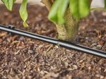 Lašelinio drėkinimo sistema krūmams/gyvatvorėms GARDENA, 25 m, 13 mm (1/2")